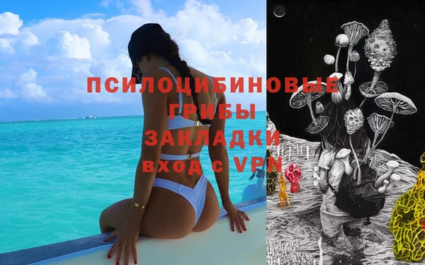 спайс Алексеевка