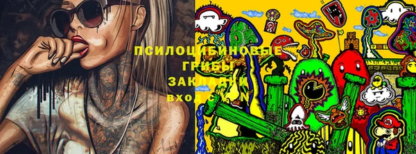 прущий лед Алексин