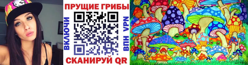 Купить  Геленджик  Галлюциногенные грибы мицелий 